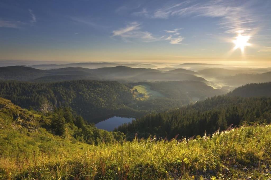 Waldlicht Titisee Buitenkant foto