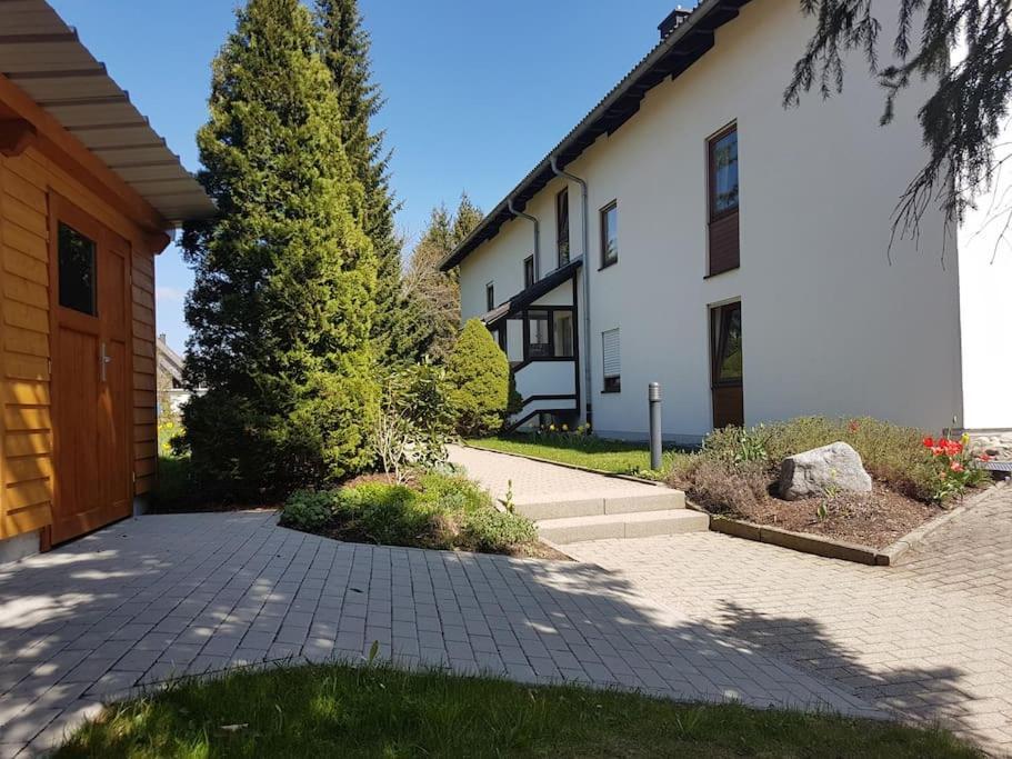 Waldlicht Titisee Buitenkant foto
