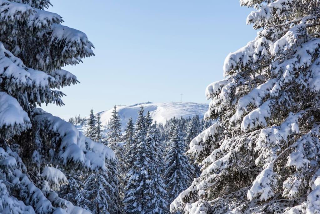 Waldlicht Titisee Buitenkant foto