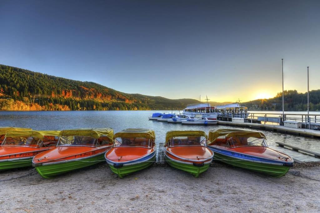 Waldlicht Titisee Buitenkant foto