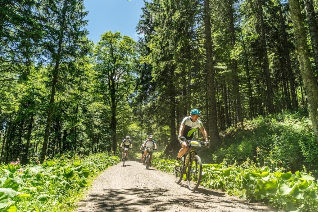 Waldlicht Titisee Buitenkant foto